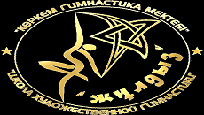  IV Международный Кубок "Zhuldyz BABY CUP - 2015" и I Международный турнир "FIG Zhuldyz - 2015"